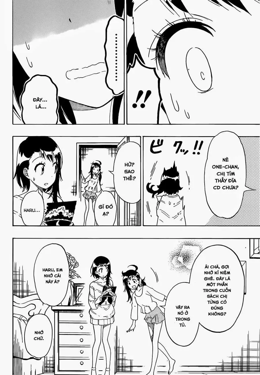 Nisekoi Chapter 164 - Trang 8