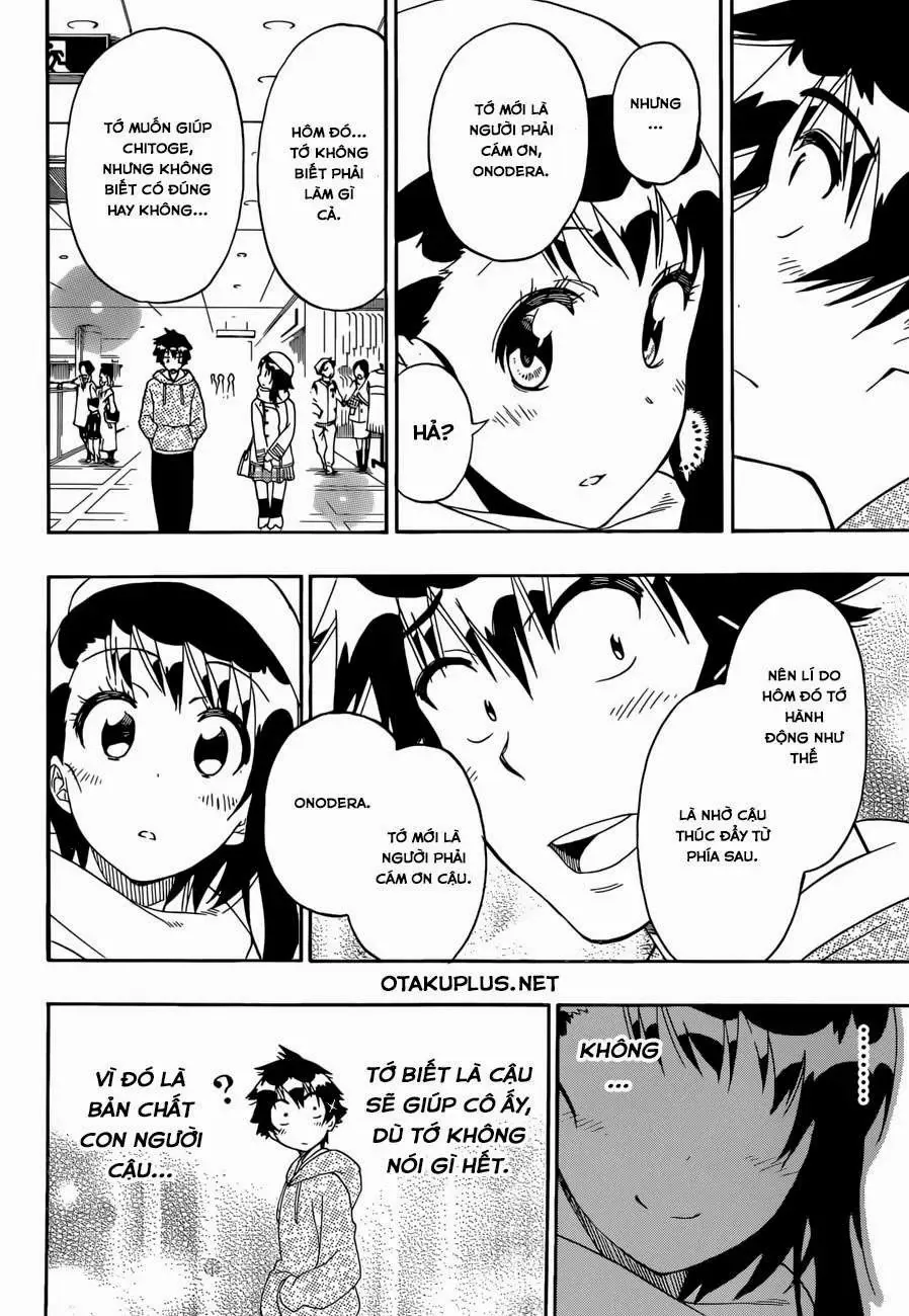 Nisekoi Chapter 165 - Trang 11