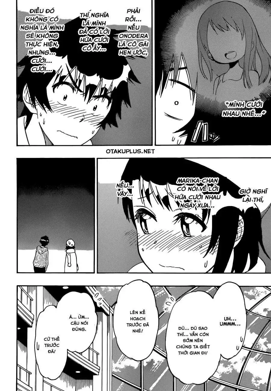 Nisekoi Chapter 165 - Trang 15