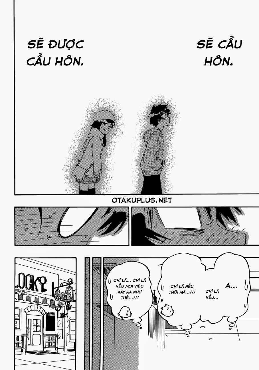 Nisekoi Chapter 165 - Trang 21