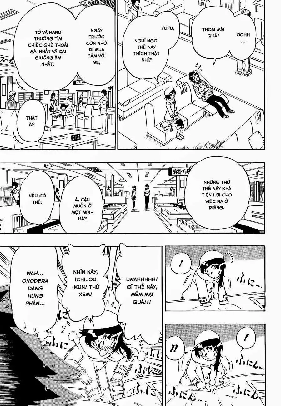 Nisekoi Chapter 166 - Trang 14