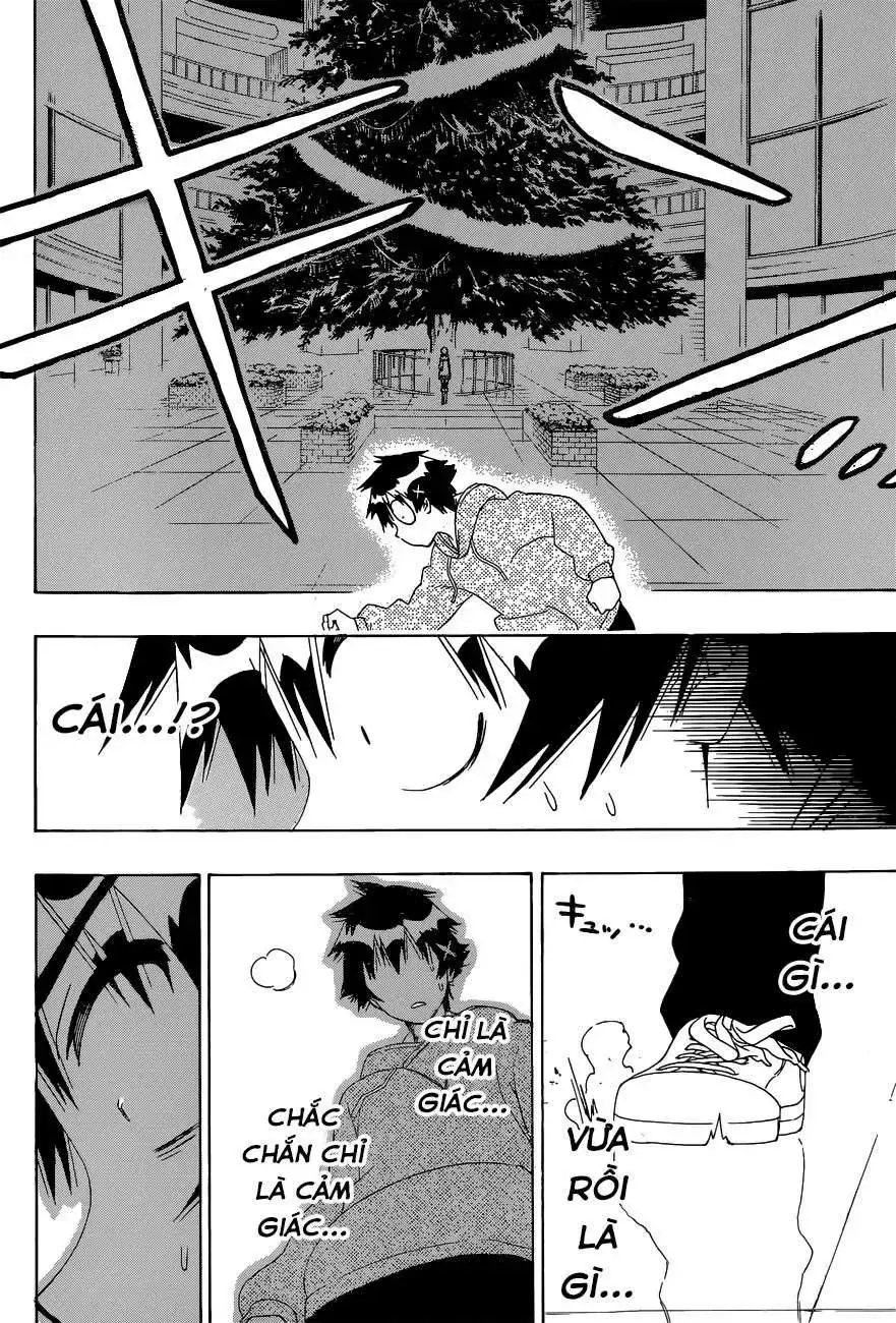 Nisekoi Chapter 167 - Trang 11