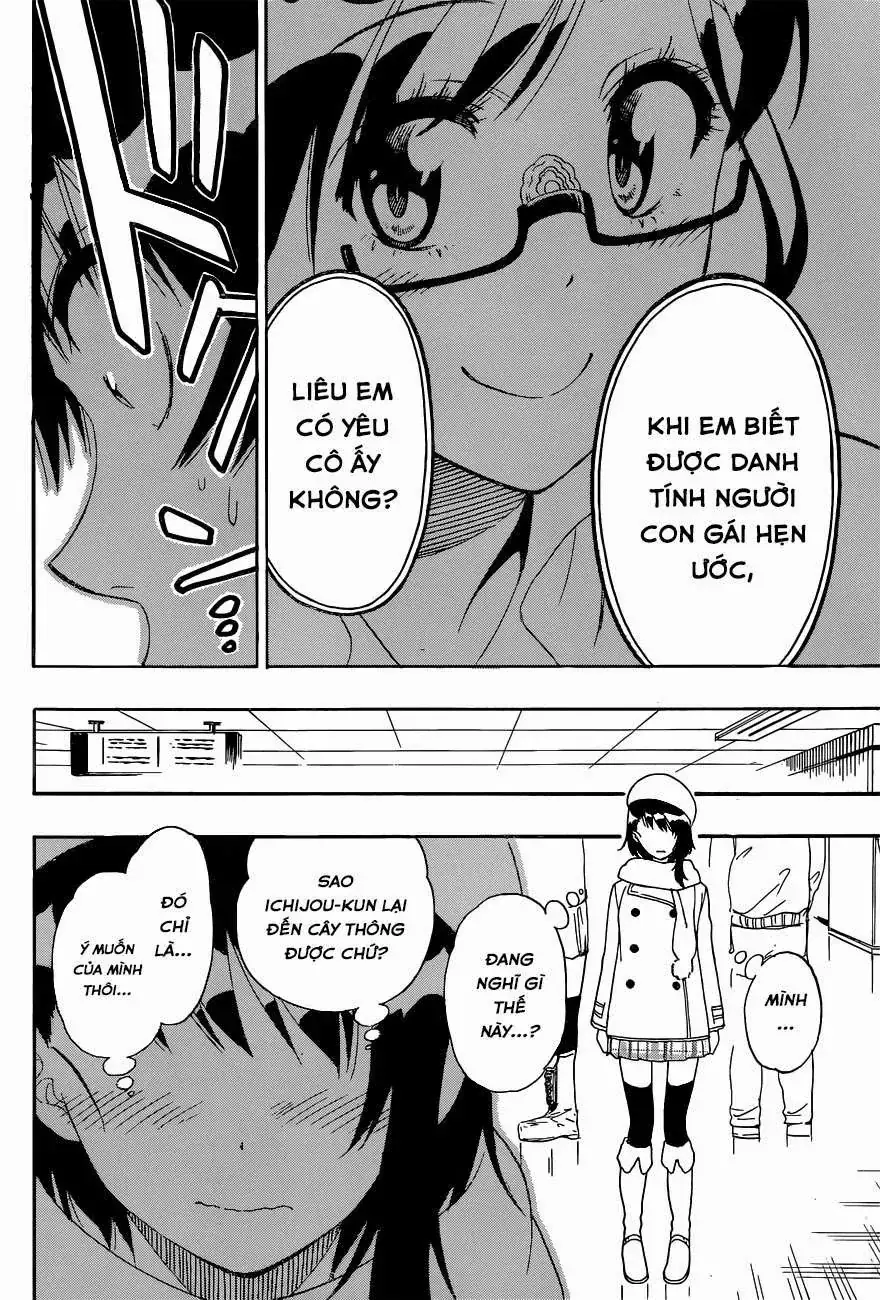 Nisekoi Chapter 167 - Trang 15