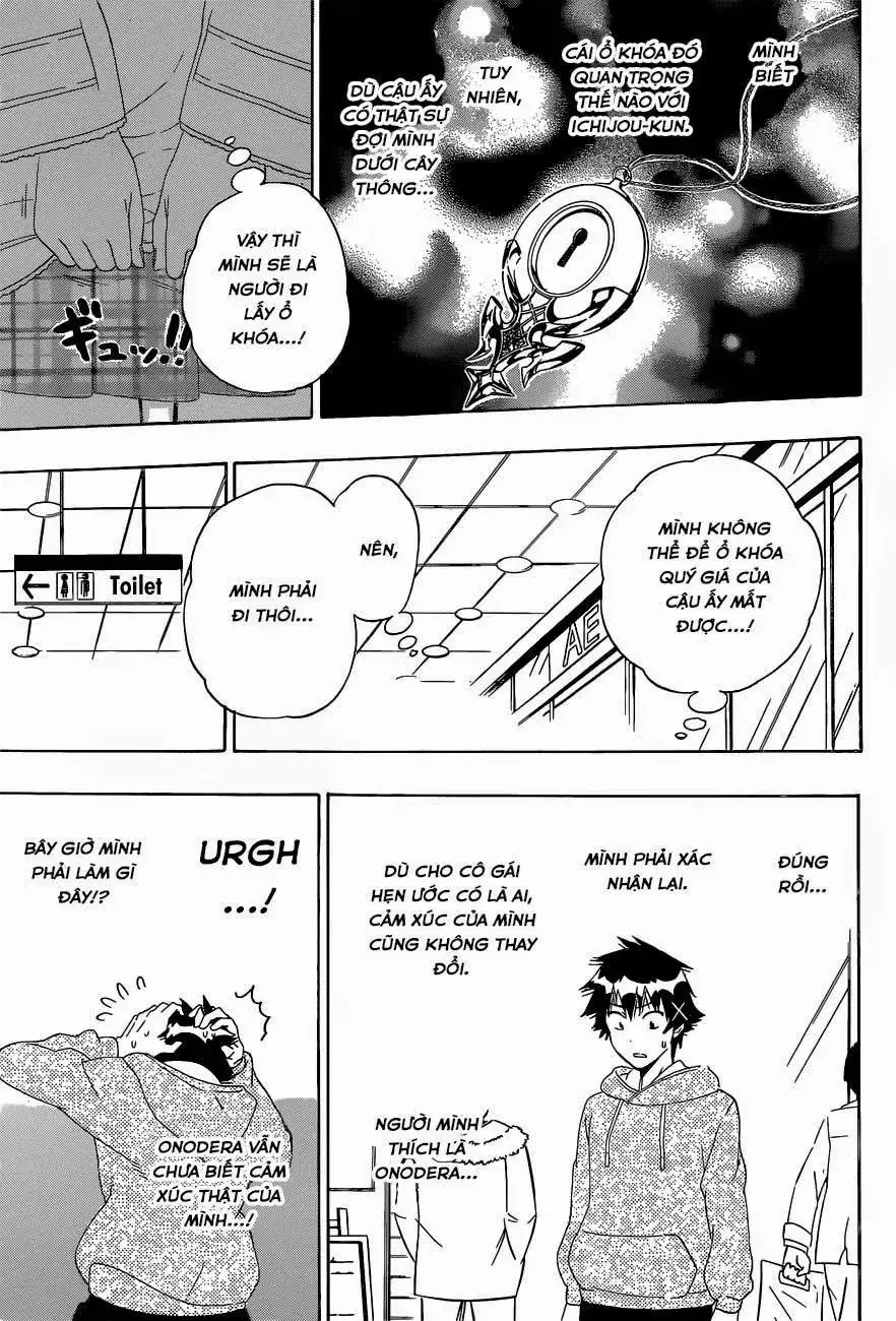 Nisekoi Chapter 167 - Trang 16