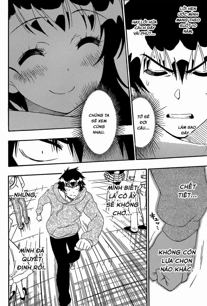 Nisekoi Chapter 167 - Trang 17