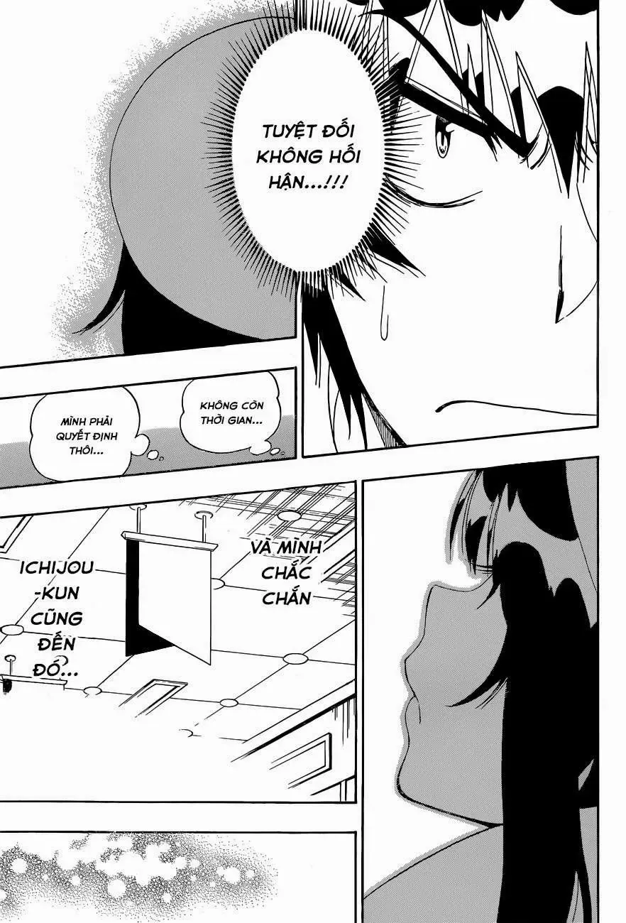 Nisekoi Chapter 167 - Trang 18