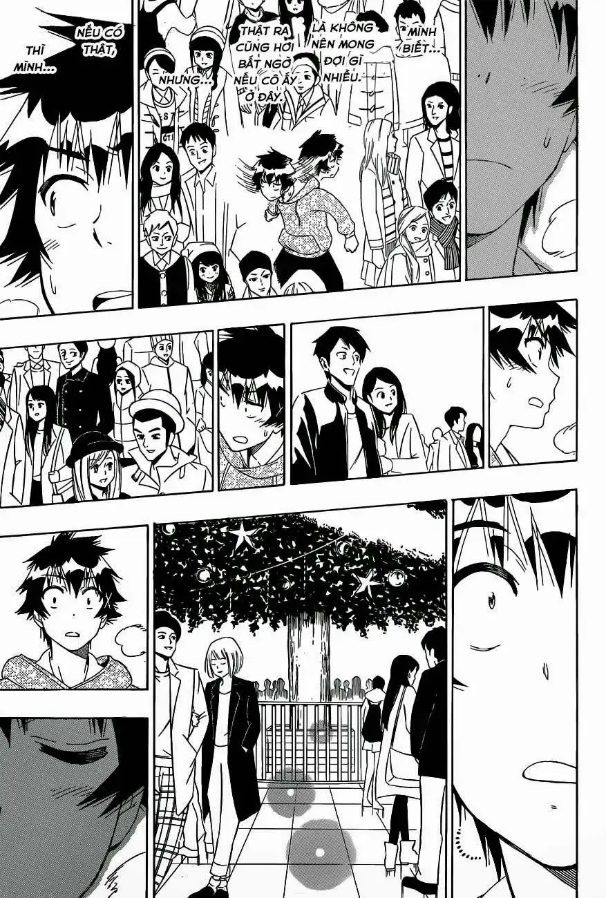 Nisekoi Chapter 167 - Trang 20