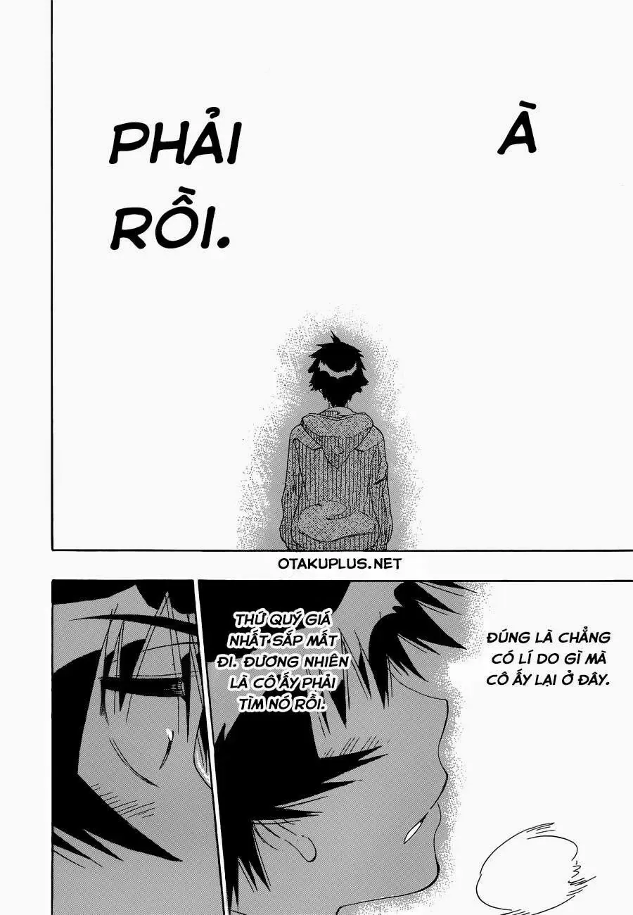 Nisekoi Chapter 167 - Trang 21