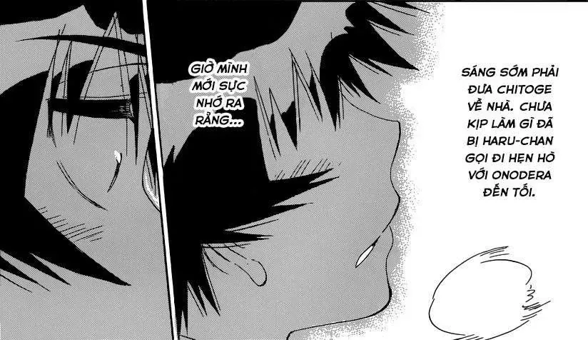 Nisekoi Chapter 167 - Trang 25