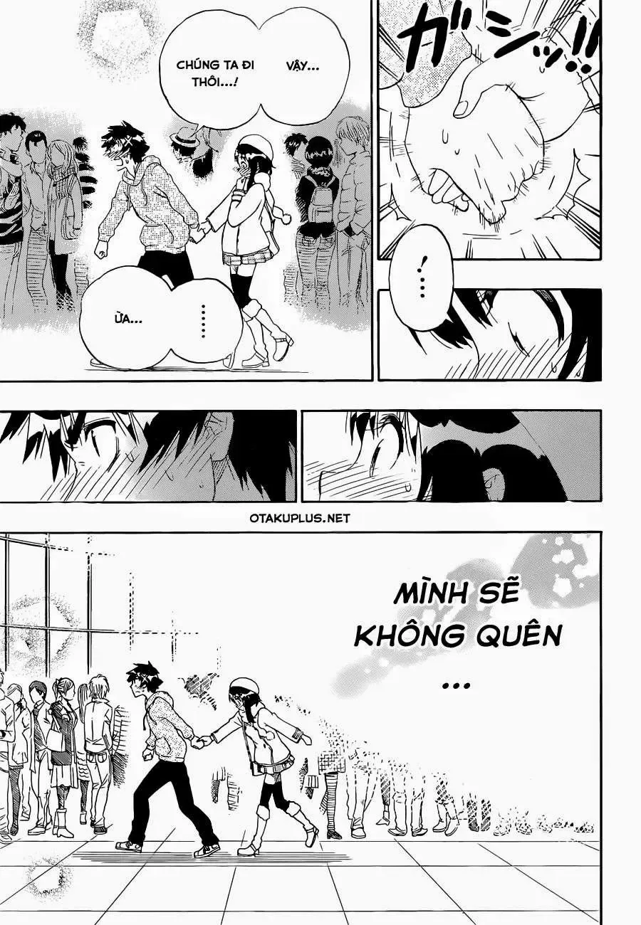 Nisekoi Chapter 168 - Trang 12