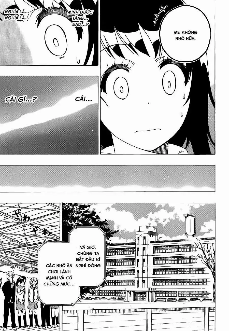 Nisekoi Chapter 168 - Trang 18