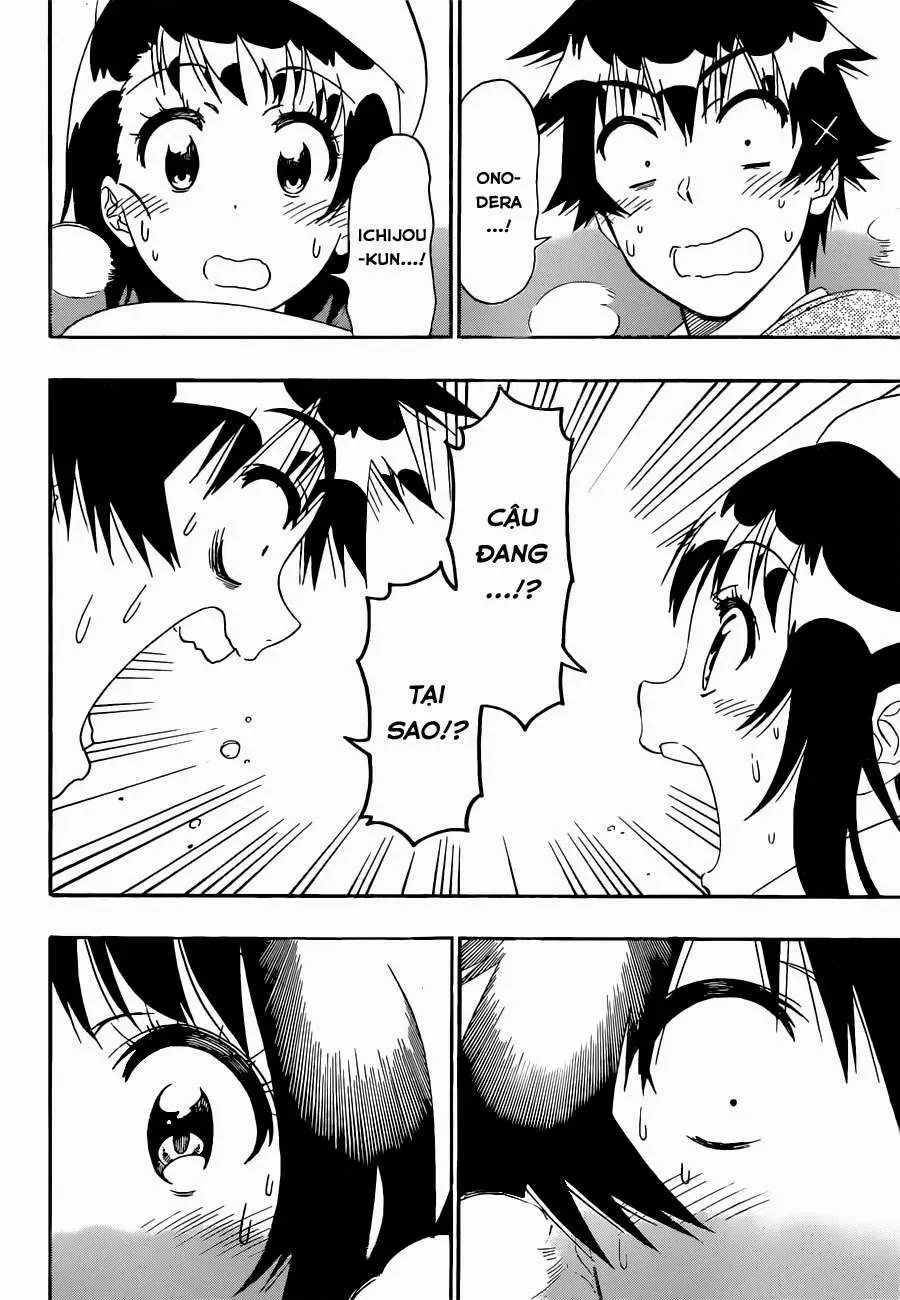 Nisekoi Chapter 168 - Trang 5