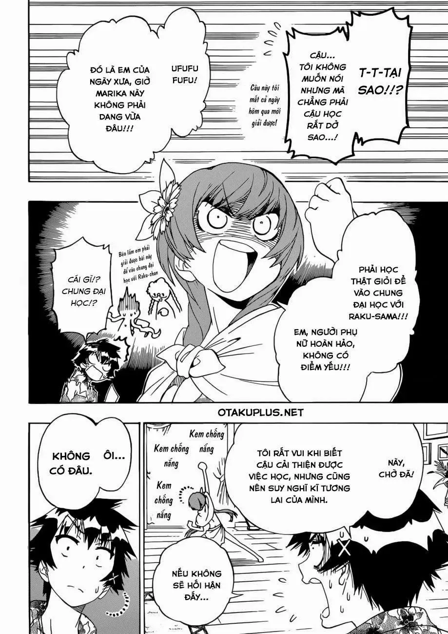 Nisekoi Chapter 169 - Trang 17