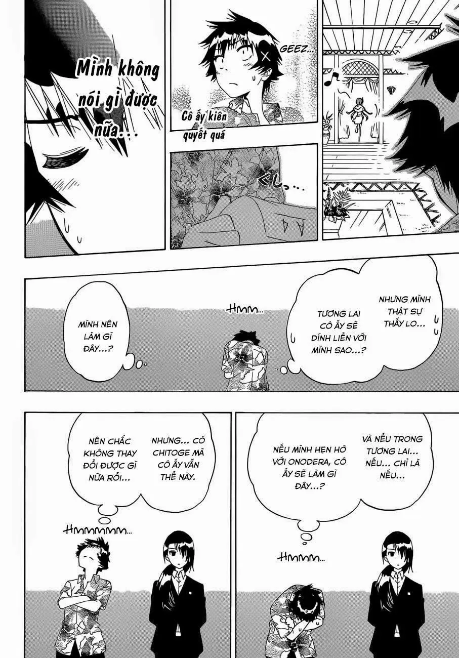 Nisekoi Chapter 169 - Trang 19