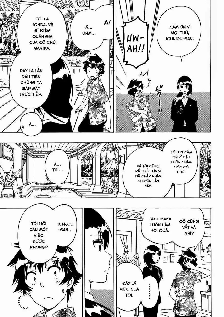 Nisekoi Chapter 169 - Trang 20