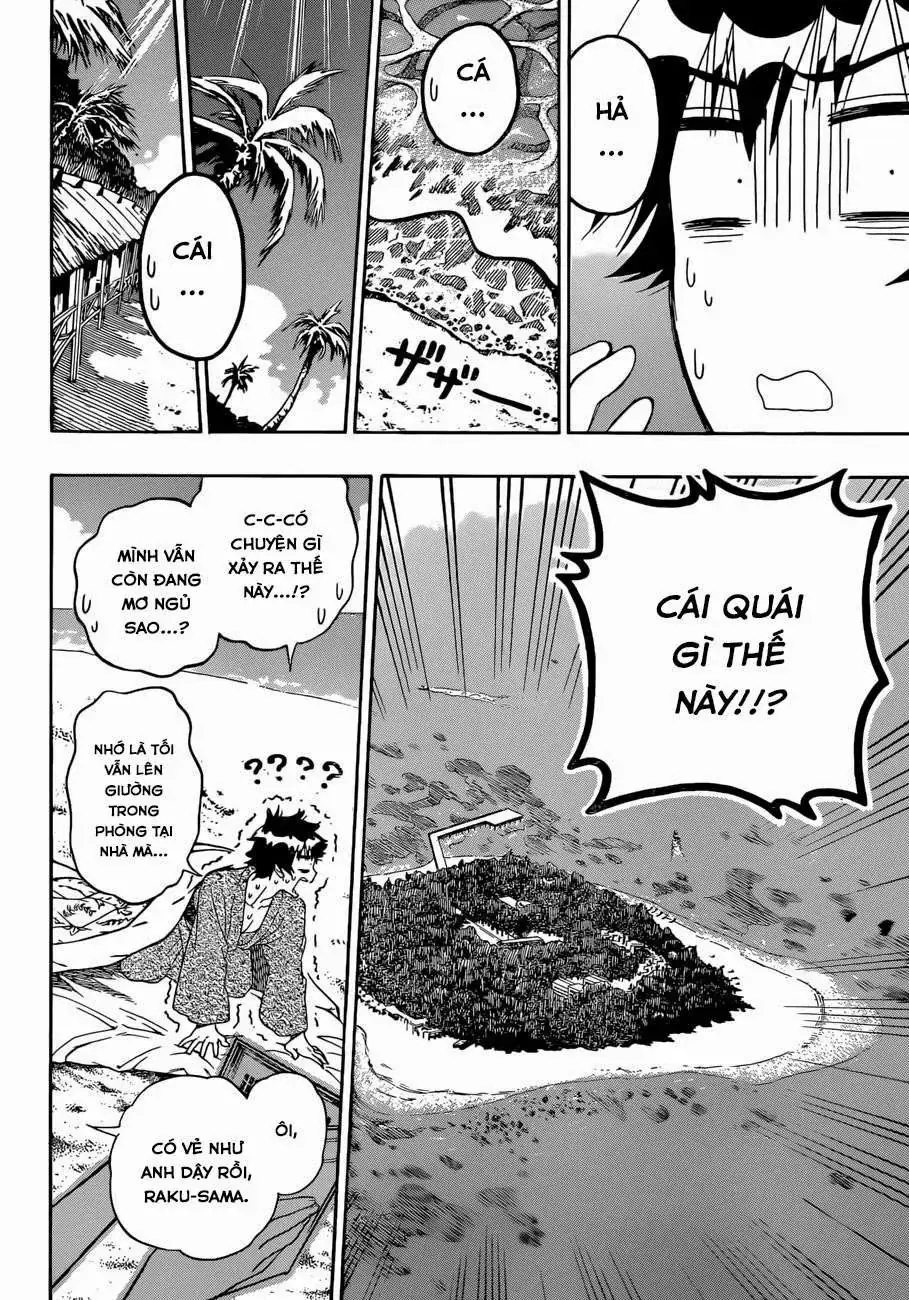 Nisekoi Chapter 169 - Trang 5