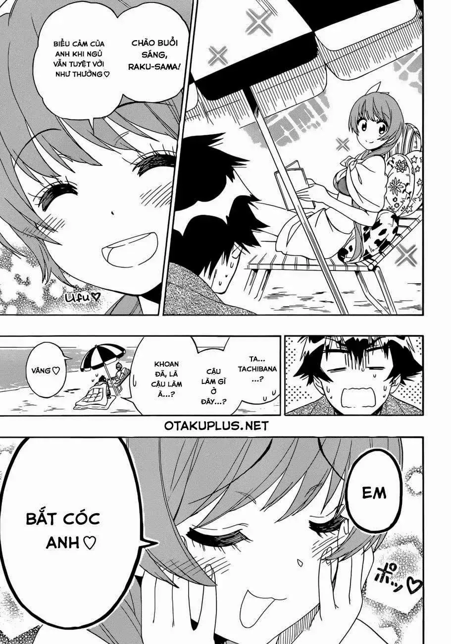 Nisekoi Chapter 169 - Trang 6