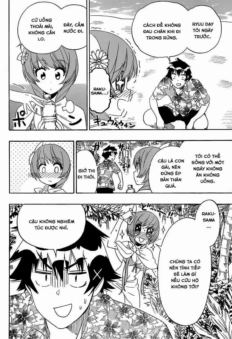 Nisekoi Chapter 170 - Trang 14