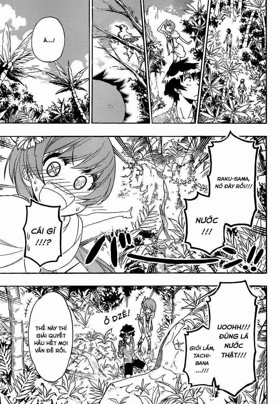 Nisekoi Chapter 170 - Trang 15