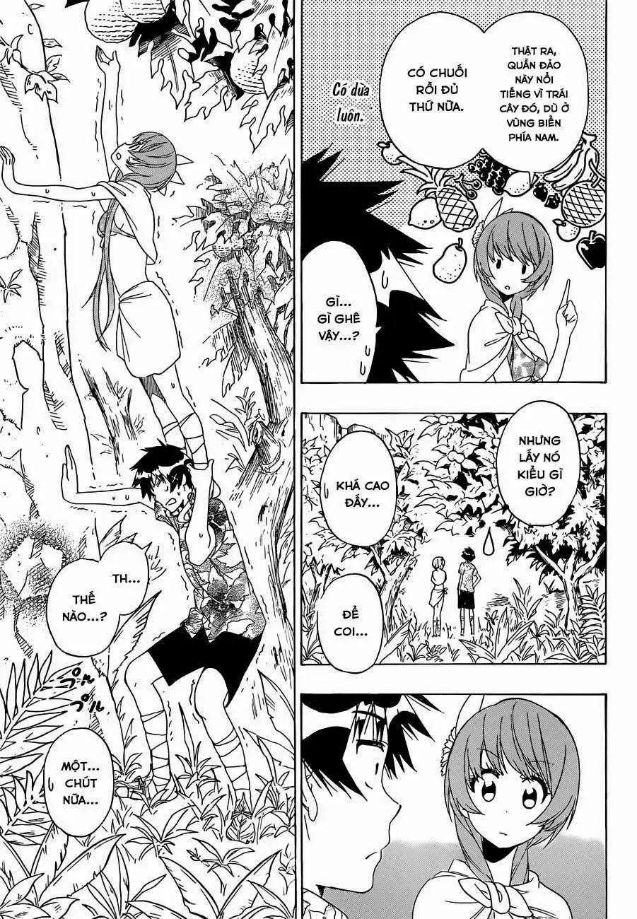 Nisekoi Chapter 170 - Trang 17