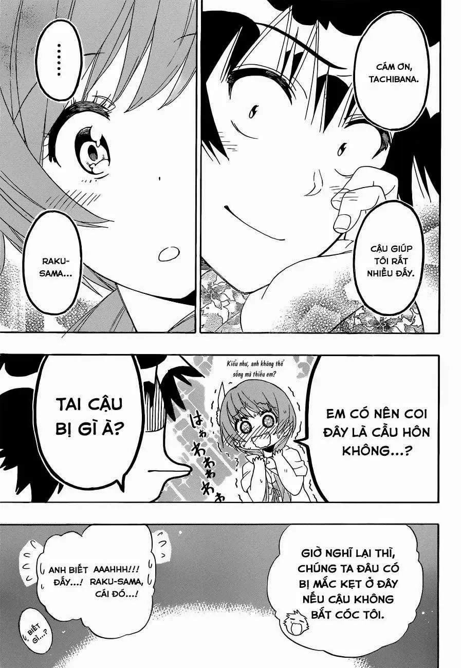Nisekoi Chapter 170 - Trang 21