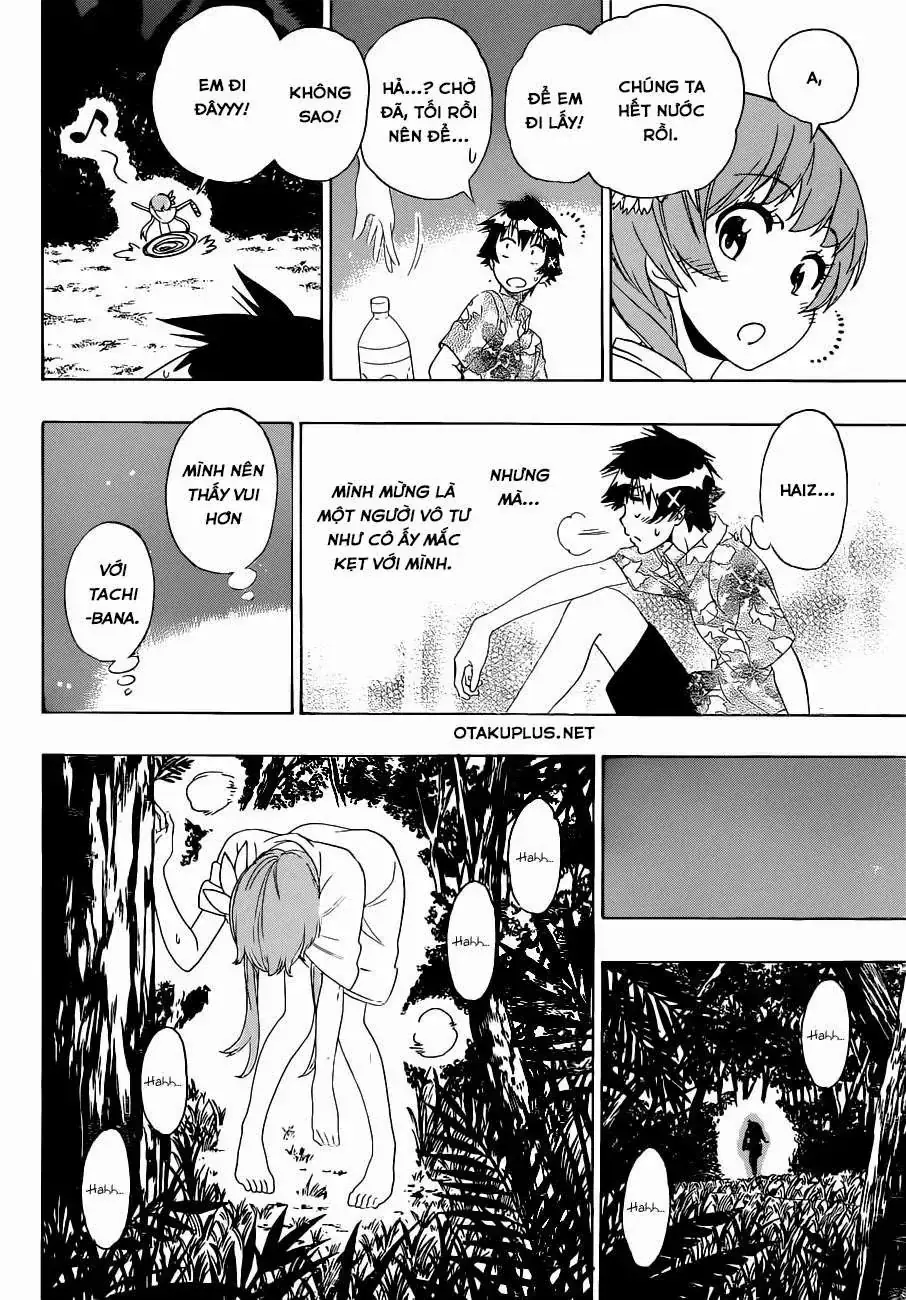 Nisekoi Chapter 170 - Trang 22