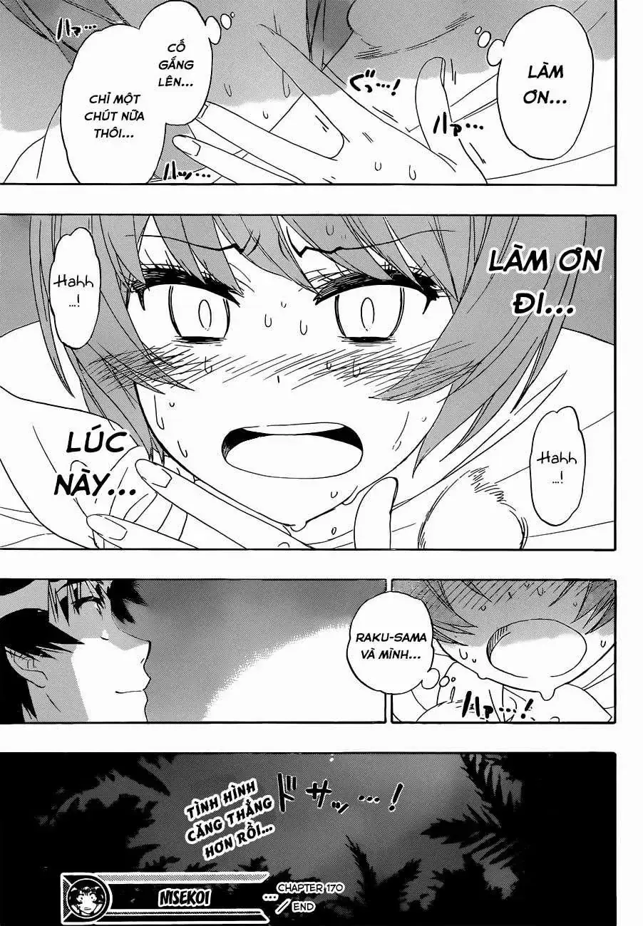 Nisekoi Chapter 170 - Trang 23