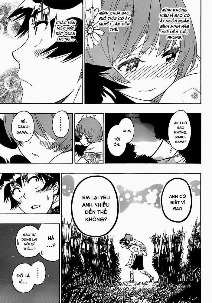 Nisekoi Chapter 171 - Trang 13