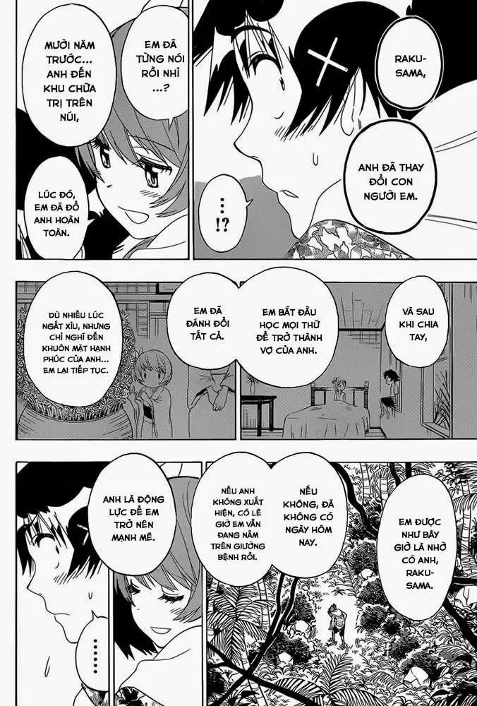 Nisekoi Chapter 171 - Trang 14