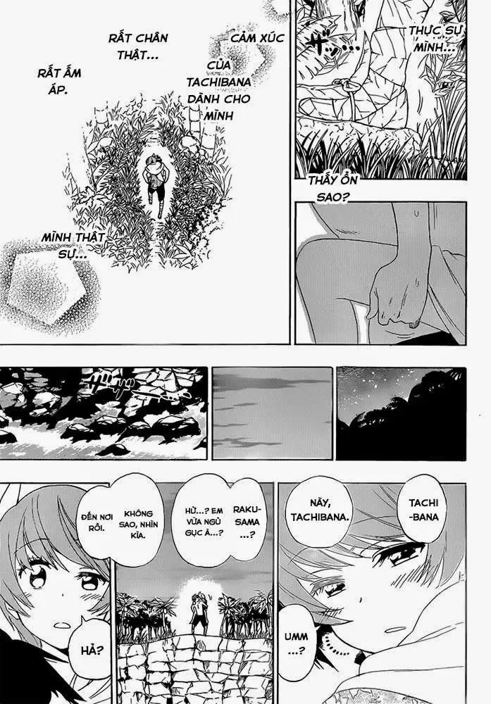Nisekoi Chapter 171 - Trang 17