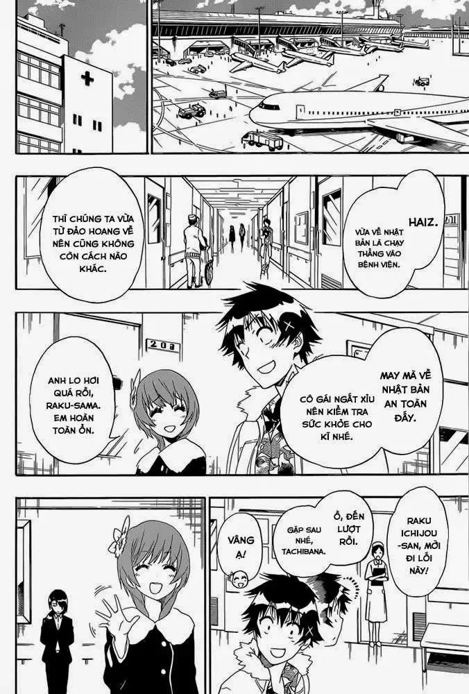 Nisekoi Chapter 171 - Trang 20
