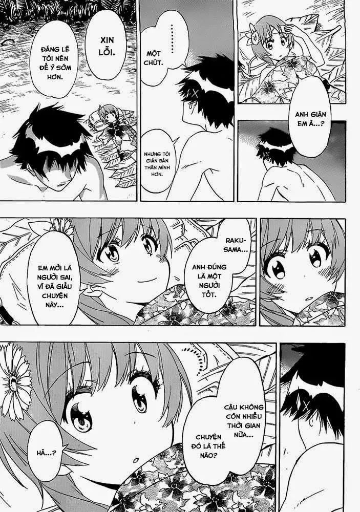 Nisekoi Chapter 171 - Trang 7
