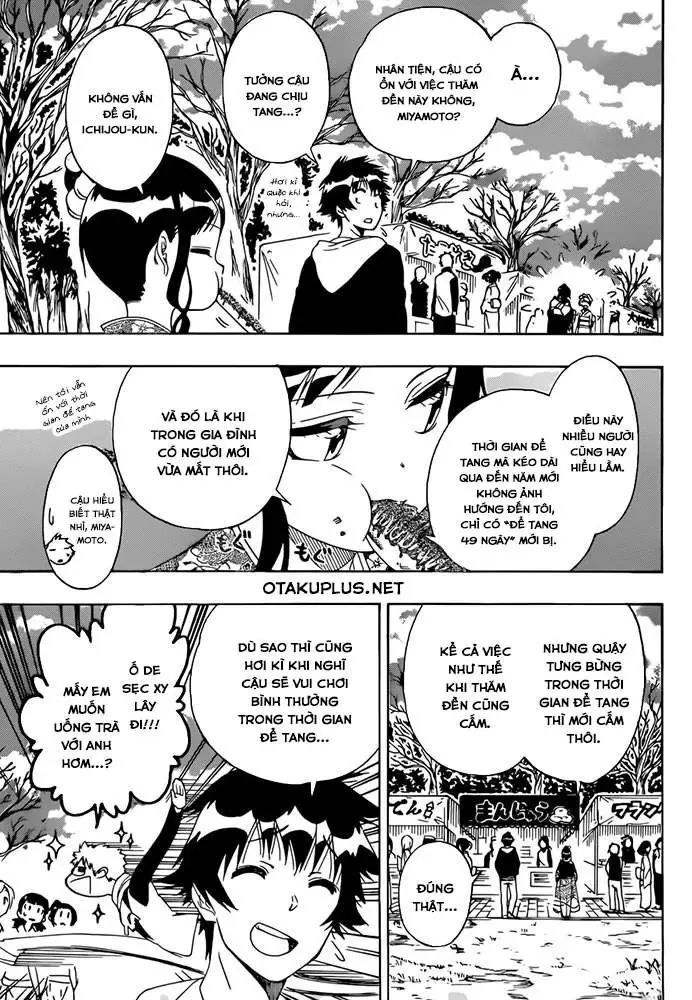 Nisekoi Chapter 172 - Trang 13
