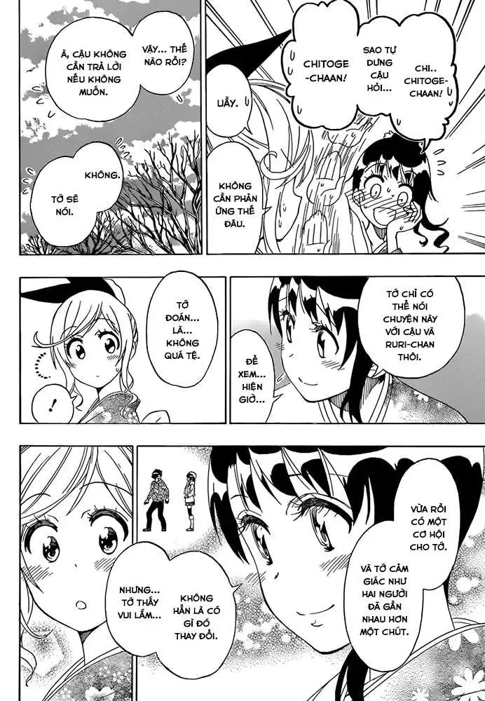 Nisekoi Chapter 172 - Trang 16