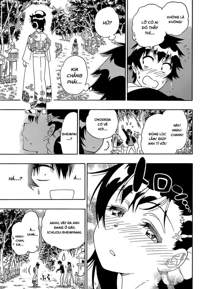 Nisekoi Chapter 173 - Trang 13