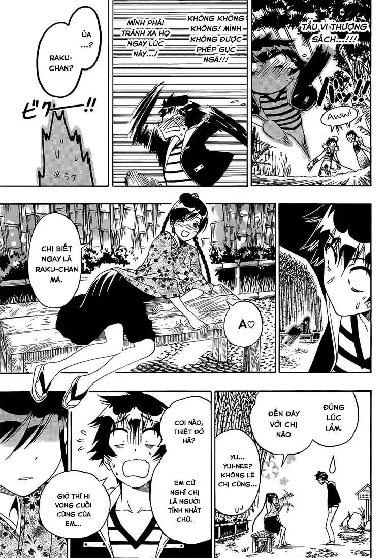 Nisekoi Chapter 173 - Trang 15