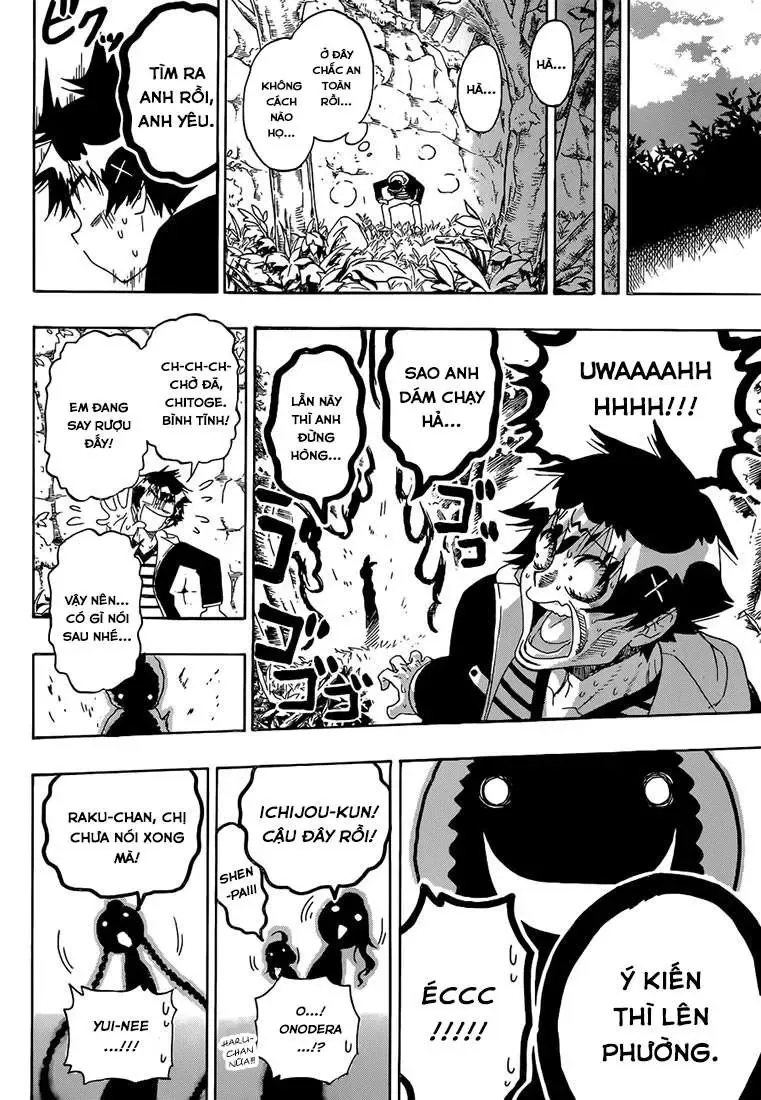 Nisekoi Chapter 173 - Trang 20