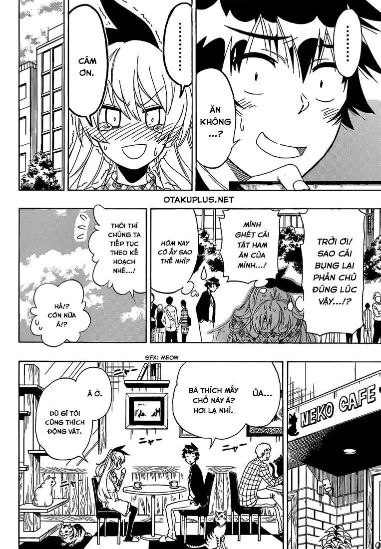 Nisekoi Chapter 174 - Trang 13