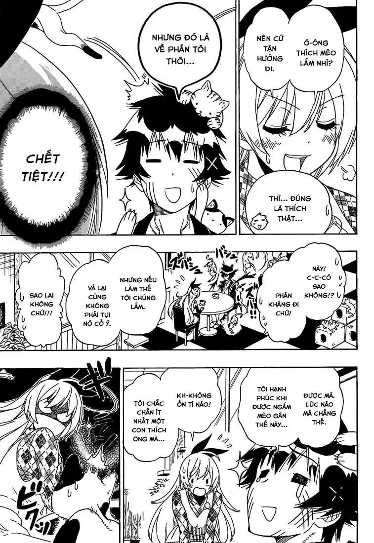 Nisekoi Chapter 174 - Trang 14