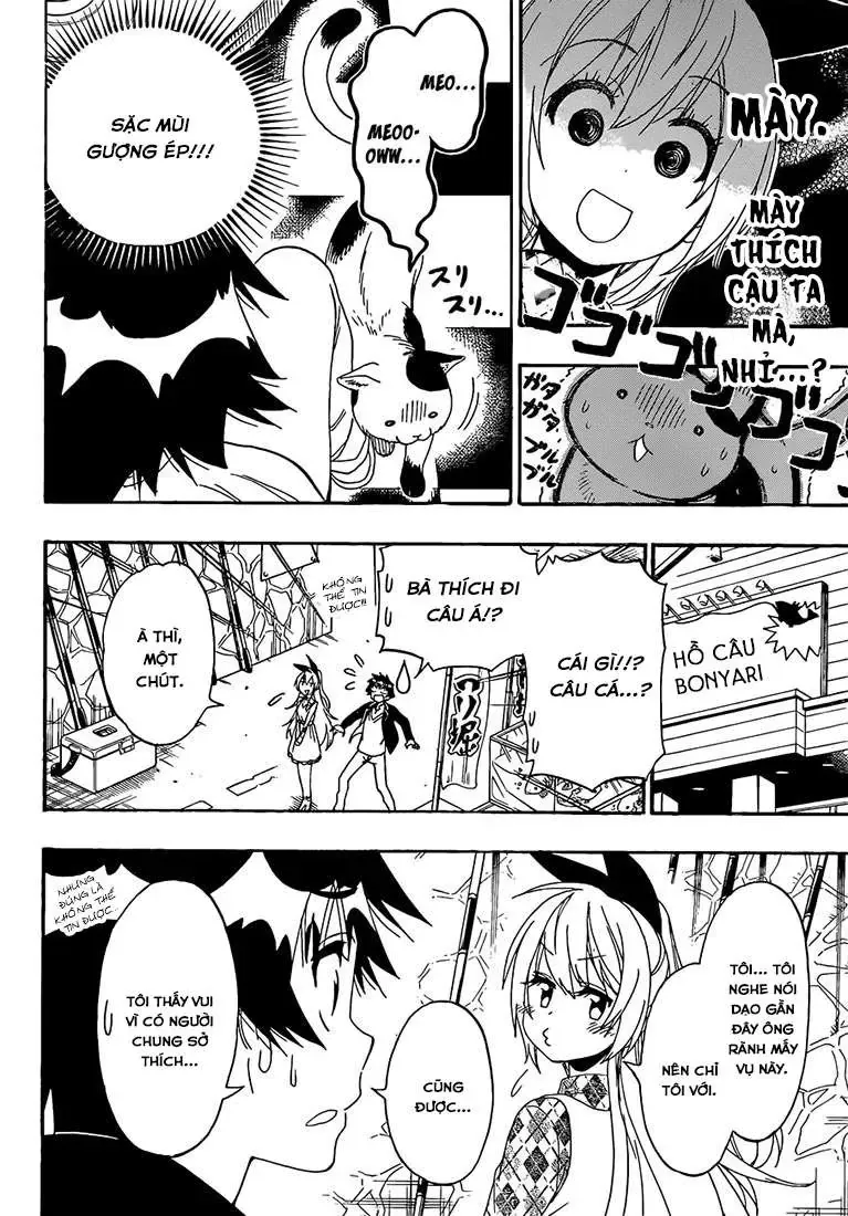 Nisekoi Chapter 174 - Trang 15
