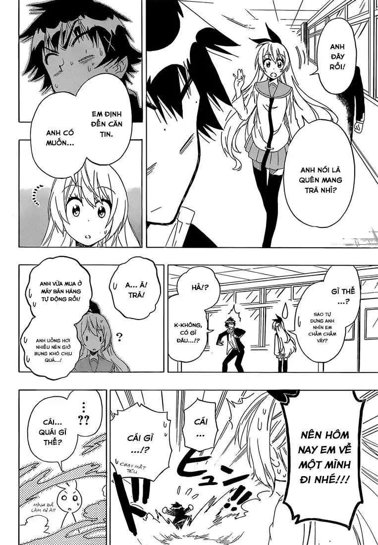 Nisekoi Chapter 175 - Trang 13