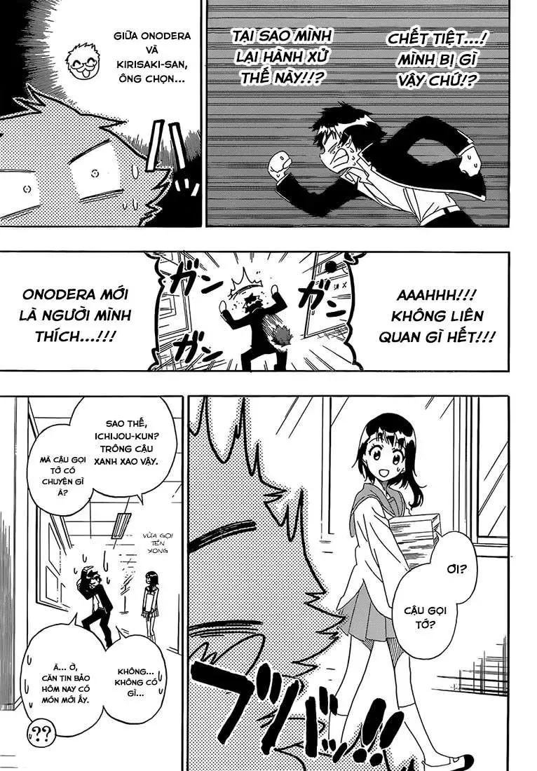 Nisekoi Chapter 175 - Trang 14
