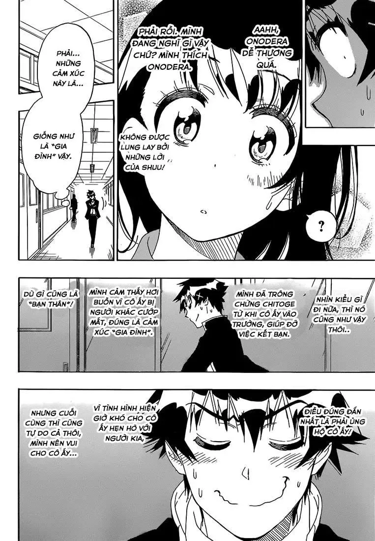 Nisekoi Chapter 175 - Trang 15