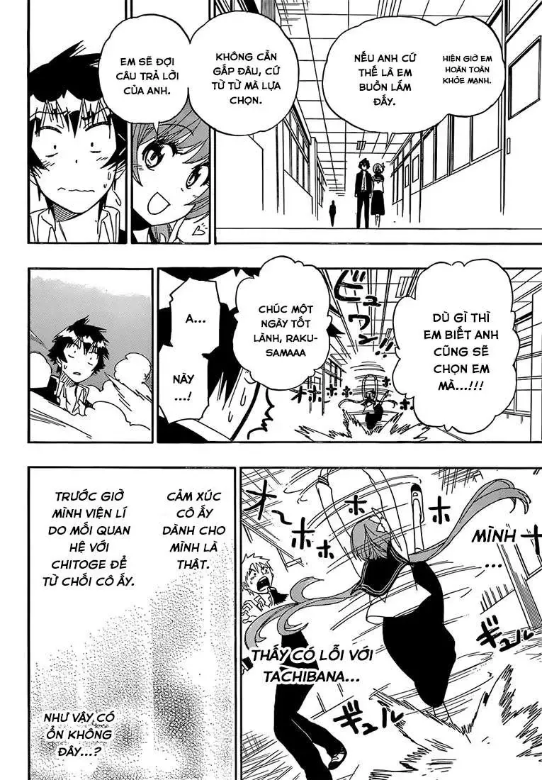 Nisekoi Chapter 175 - Trang 19