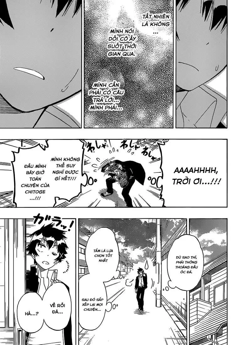 Nisekoi Chapter 175 - Trang 20