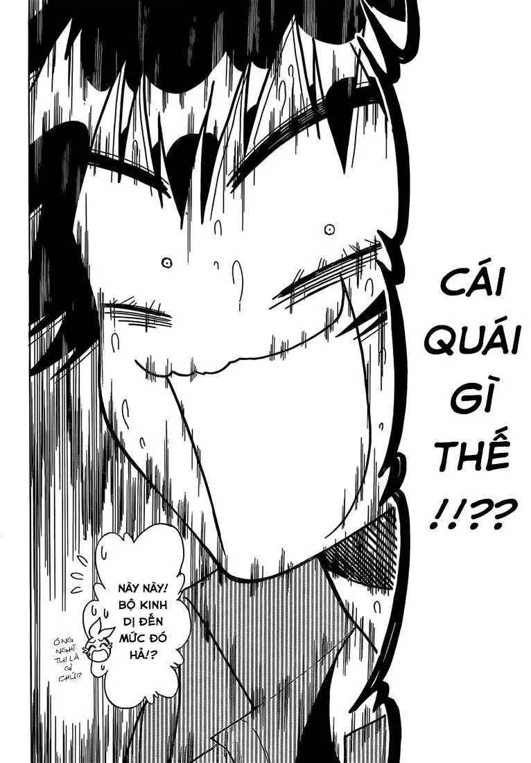 Nisekoi Chapter 175 - Trang 5