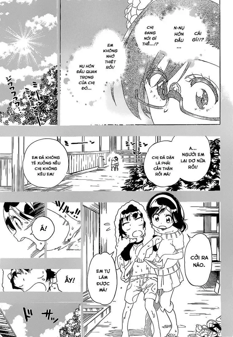 Nisekoi Chapter 177 - Trang 15