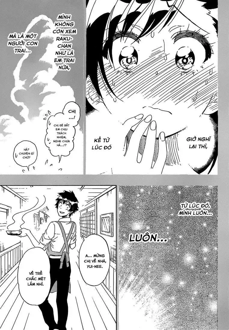 Nisekoi Chapter 177 - Trang 17