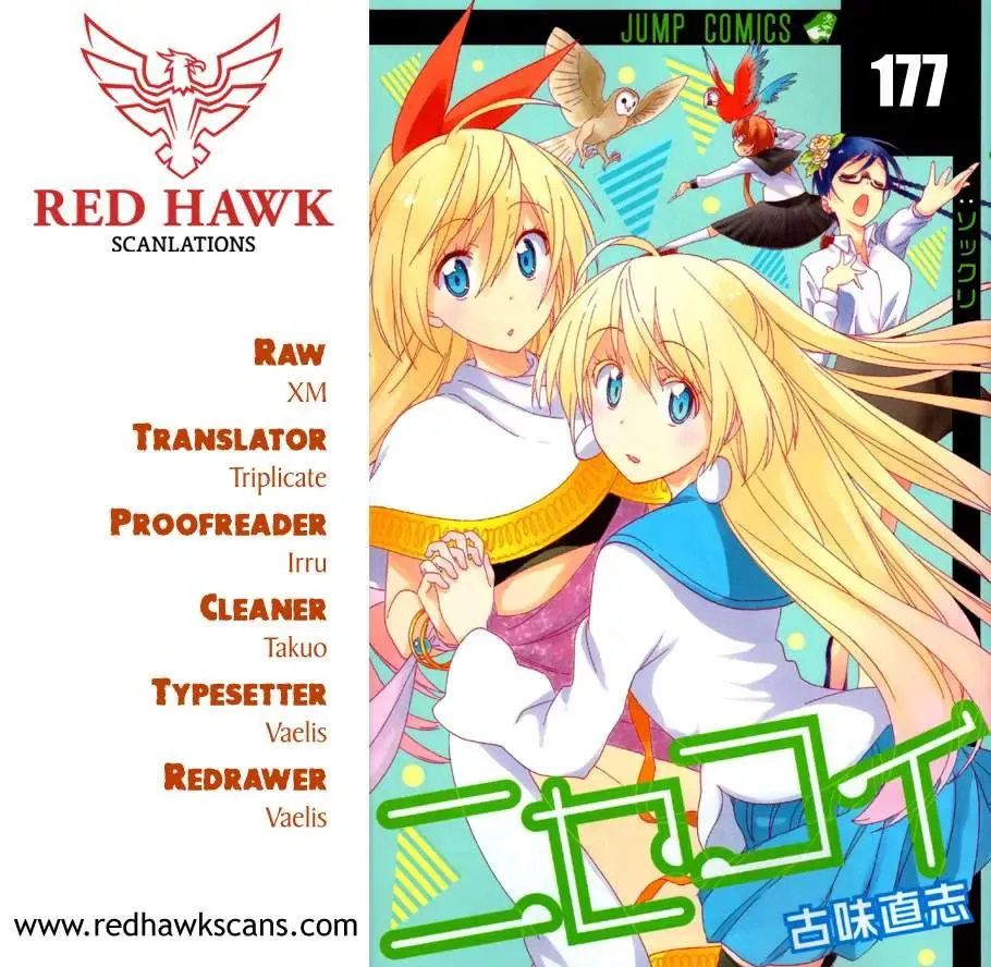 Nisekoi Chapter 177 - Trang 21