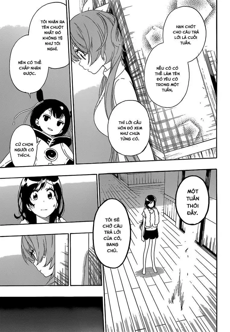 Nisekoi Chapter 177 - Trang 5